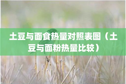 土豆与面食热量对照表图（土豆与面粉热量比较）