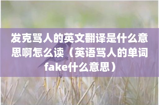 发克骂人的英文翻译是什么意思啊怎么读（英语骂人的单词fake什么意思）