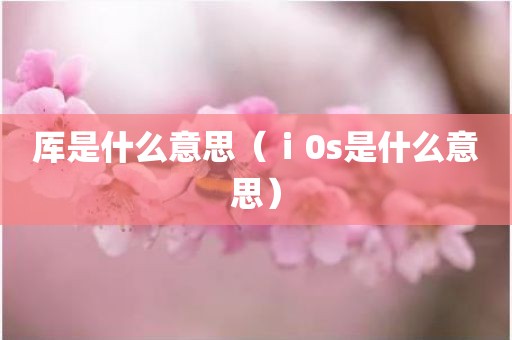 厍是什么意思（ⅰ0s是什么意思）