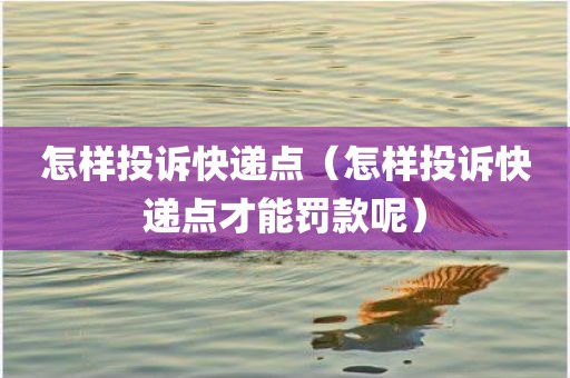 怎样投诉快递点（怎样投诉快递点才能罚款呢）