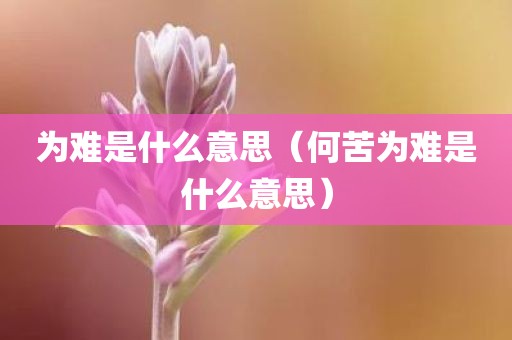 为难是什么意思（何苦为难是什么意思）