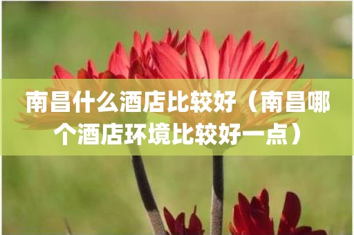 南昌什么酒店比较好（南昌哪个酒店环境比较好一点）