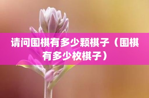 请问围棋有多少颗棋子（围棋有多少枚棋子）