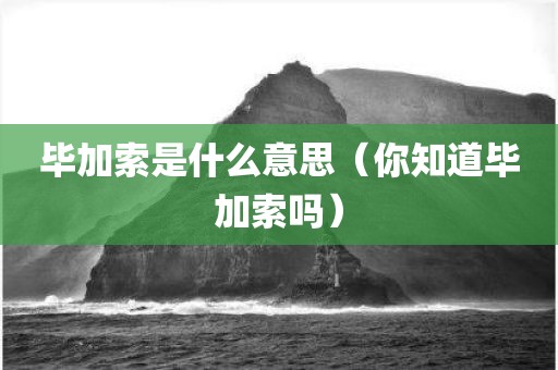 毕加索是什么意思（你知道毕加索吗）