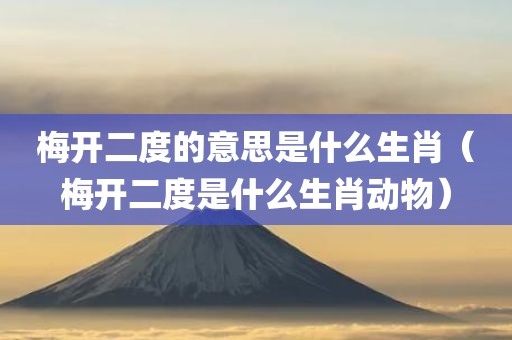 梅开二度的意思是什么生肖（梅开二度是什么生肖动物）
