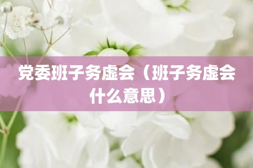 党委班子务虚会（班子务虚会什么意思）