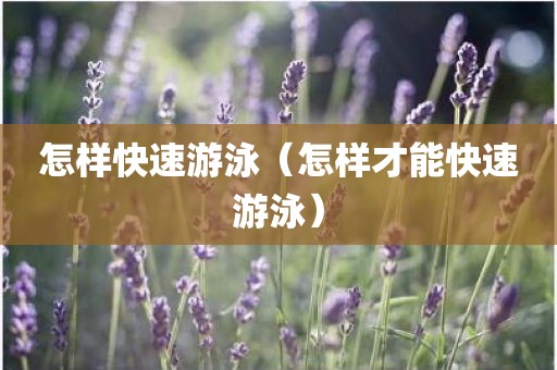 怎样快速游泳（怎样才能快速游泳）