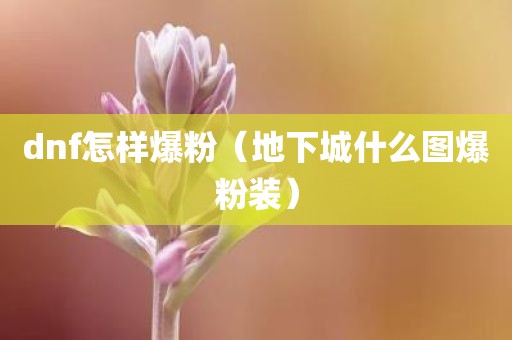 dnf怎样爆粉（地下城什么图爆粉装）