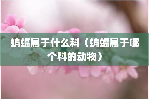 蝙蝠属于什么科（蝙蝠属于哪个科的动物）