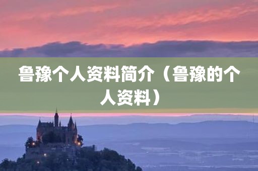 鲁豫个人资料简介（鲁豫的个人资料）