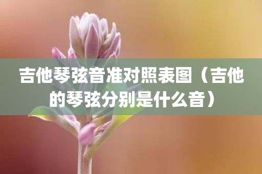 吉他琴弦音准对照表图（吉他的琴弦分别是什么音）
