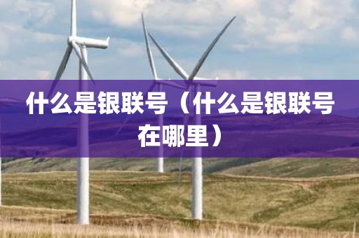 什么是银联号(什么是银联号在哪里)