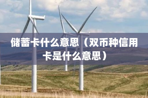 储蓄卡什么意思（双币种信用卡是什么意思）