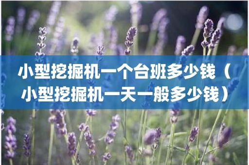 小型挖掘机一个台班多少钱（小型挖掘机一天一般多少钱）