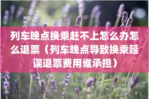 列车晚点换乘赶不上怎么办怎么退票（列车晚点导致换乘延误退票费用谁承担）