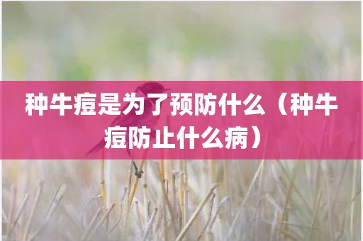种牛痘是为了预防什么（种牛痘防止什么病）
