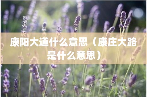 康阳大道什么意思（康庄大路是什么意思）