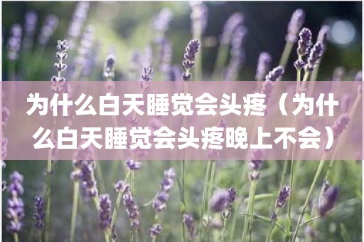 为什么白天睡觉会头疼（为什么白天睡觉会头疼晚上不会）