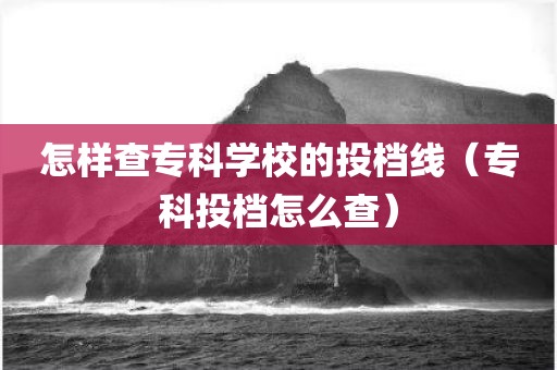 怎样查专科学校的投档线（专科投档怎么查）