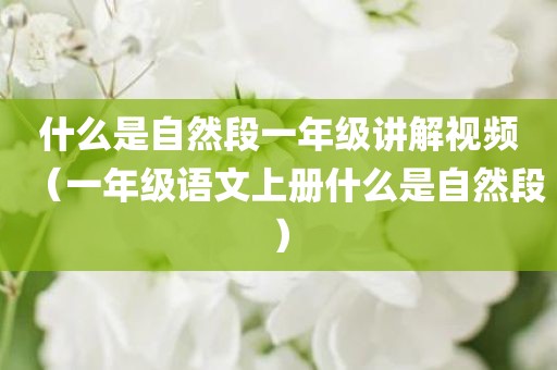 什么是自然段一年级讲解视频（一年级语文上册什么是自然段）