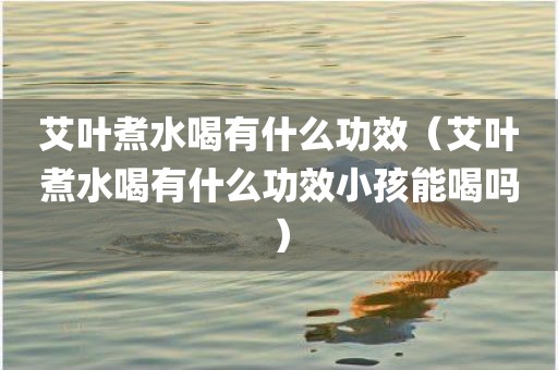 艾叶煮水喝有什么功效（艾叶煮水喝有什么功效小孩能喝吗）