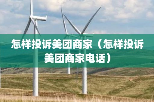 怎样投诉美团商家（怎样投诉美团商家电话）