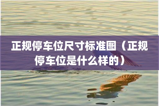正规停车位尺寸标准图(正规停车位是什么样的) 正规停车位尺寸标准图(正规停车位是什么样的)
