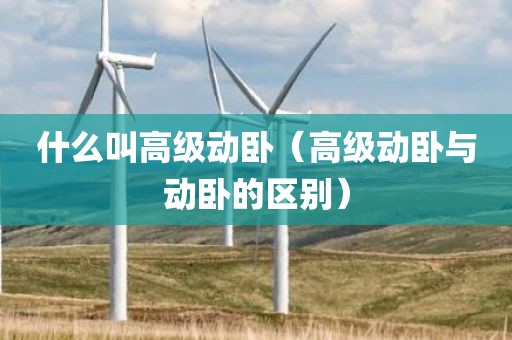 什么叫高级动卧（高级动卧与动卧的区别）