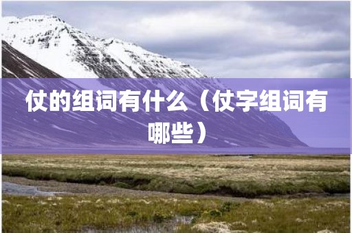 仗的组词有什么（仗字组词有哪些）