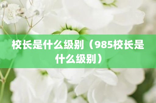 校长是什么级别（985校长是什么级别）