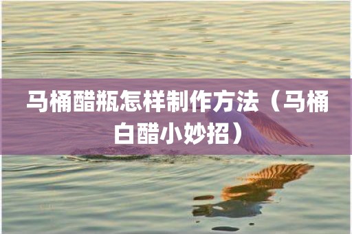 马桶醋瓶怎样制作方法（马桶白醋小妙招）