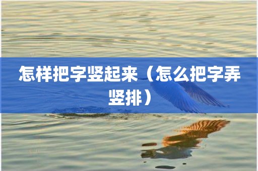 怎样把字竖起来（怎么把字弄竖排）