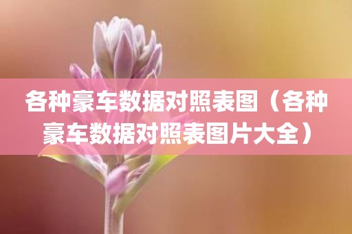 各种豪车数据对照表图（各种豪车数据对照表图片大全）