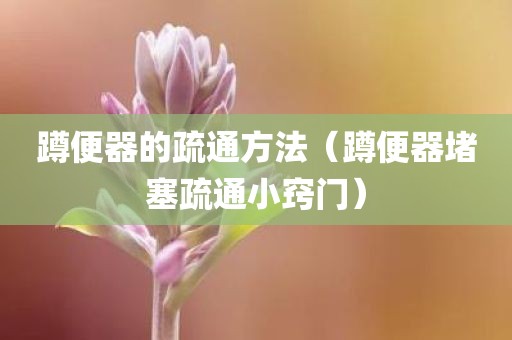 蹲便器的疏通方法（蹲便器堵塞疏通小窍门）