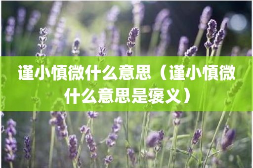 谨小慎微什么意思（谨小慎微什么意思是褒义）