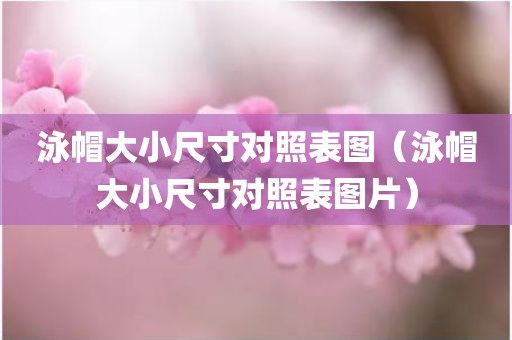 泳帽大小尺寸对照表图（泳帽大小尺寸对照表图片）