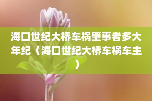海口世纪大桥车祸肇事者多大年纪（海口世纪大桥车祸车主）