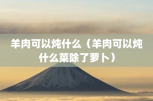 羊肉可以炖什么（羊肉可以炖什么菜除了萝卜）