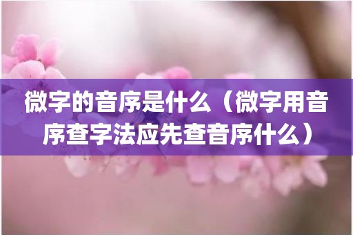微字的音序是什么（微字用音序查字法应先查音序什么）