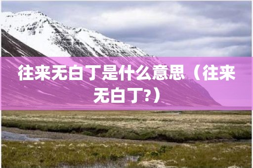 往来无白丁是什么意思（往来无白丁?）