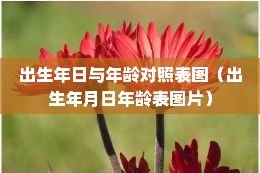出生年日与年龄对照表图（出生年月日年龄表图片）