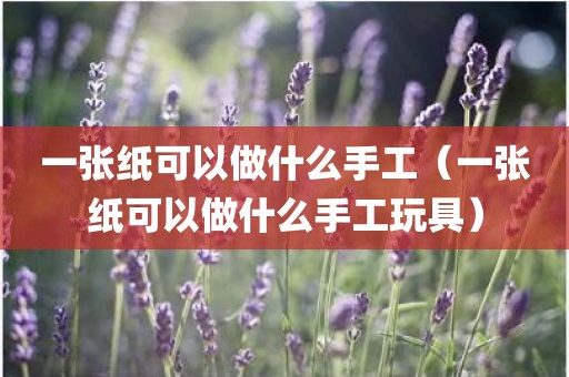 一张纸可以做什么手工（一张纸可以做什么手工玩具）