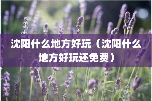 沈阳什么地方好玩(沈阳什么地方好玩还免费)