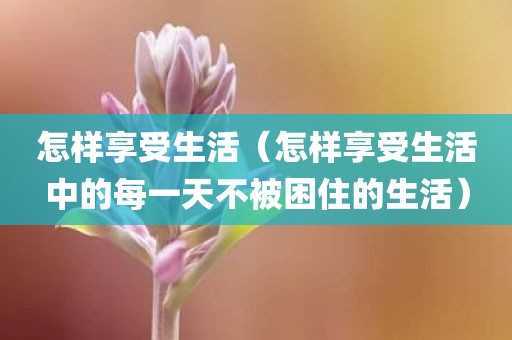 怎样享受生活（怎样享受生活中的每一天不被困住的生活）