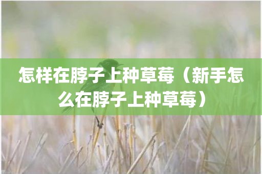 怎样在脖子上种草莓（新手怎么在脖子上种草莓）