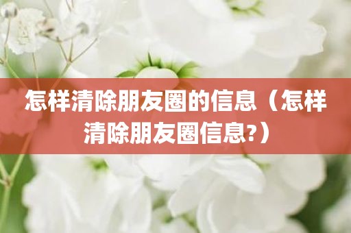 怎样清除朋友圈的信息（怎样清除朋友圈信息?）