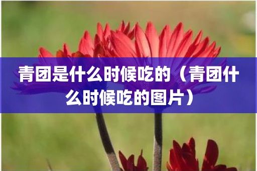 青团是什么时候吃的（青团什么时候吃的图片）