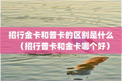招行金卡和普卡的区别是什么（招行普卡和金卡哪个好）