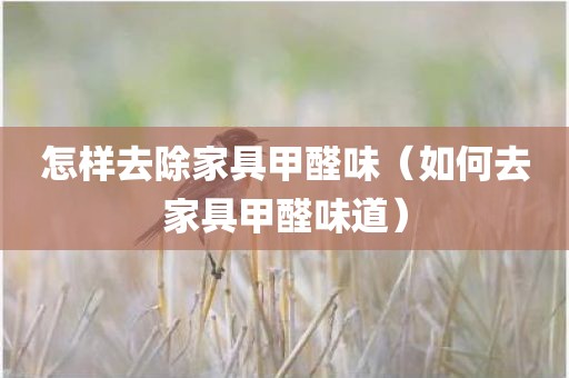 怎样去除家具甲醛味（如何去家具甲醛味道）
