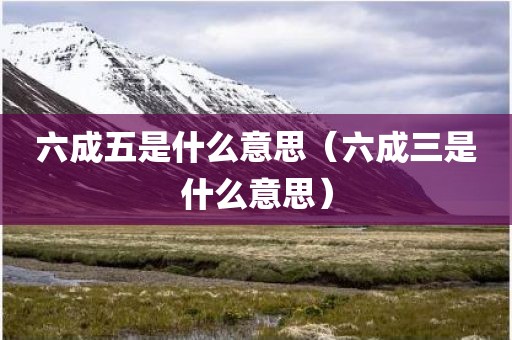 六成五是什么意思（六成三是什么意思）